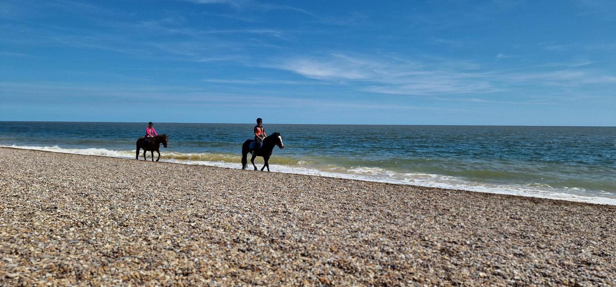 Seagull Cottage - Suffolk Coastal Escapes Pakefield Luaran gambar